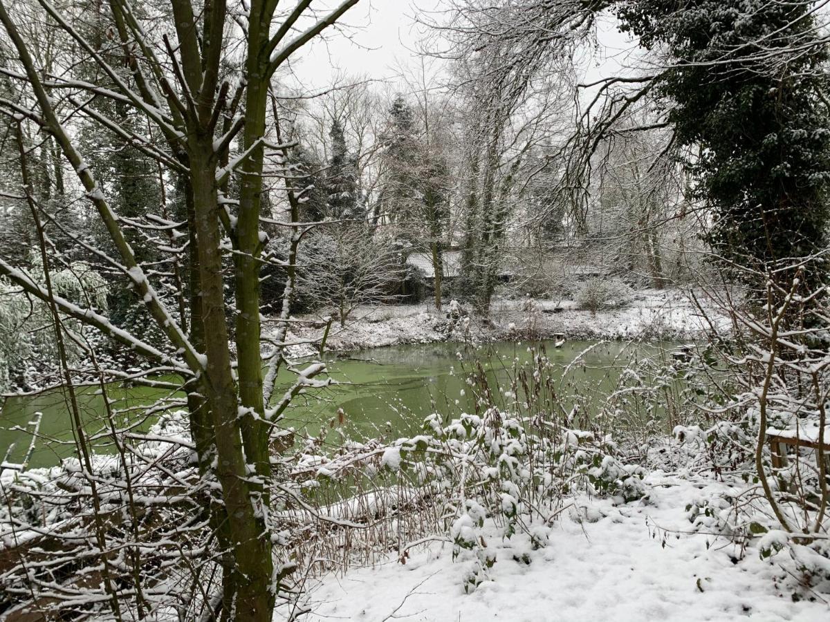 Gästewohnung Hardinghaus am Teich Warendorf Exterior foto