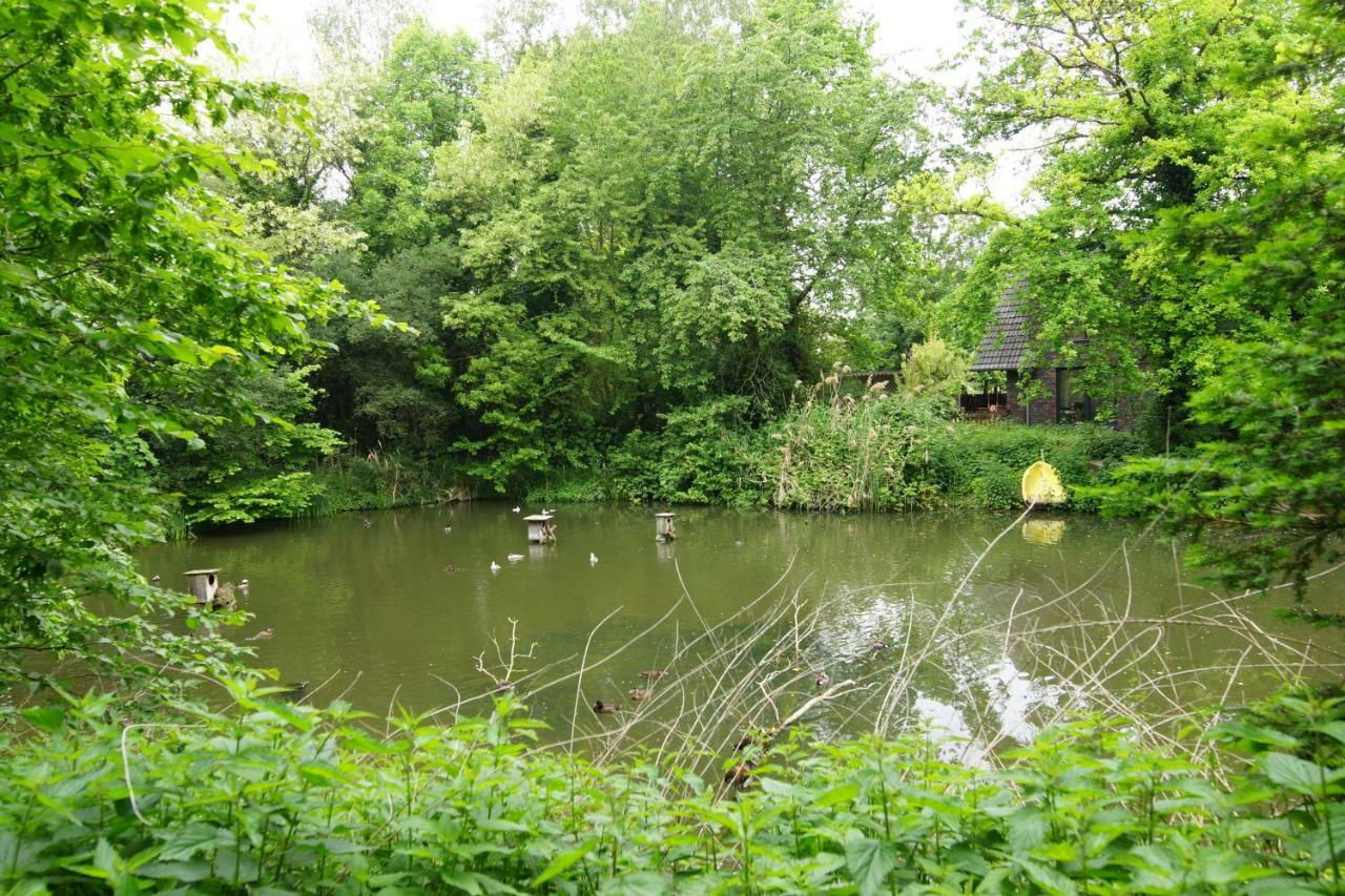 Gästewohnung Hardinghaus am Teich Warendorf Exterior foto